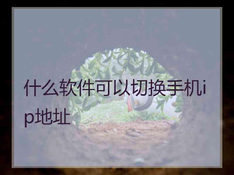 什么软件可以切换手机ip地址