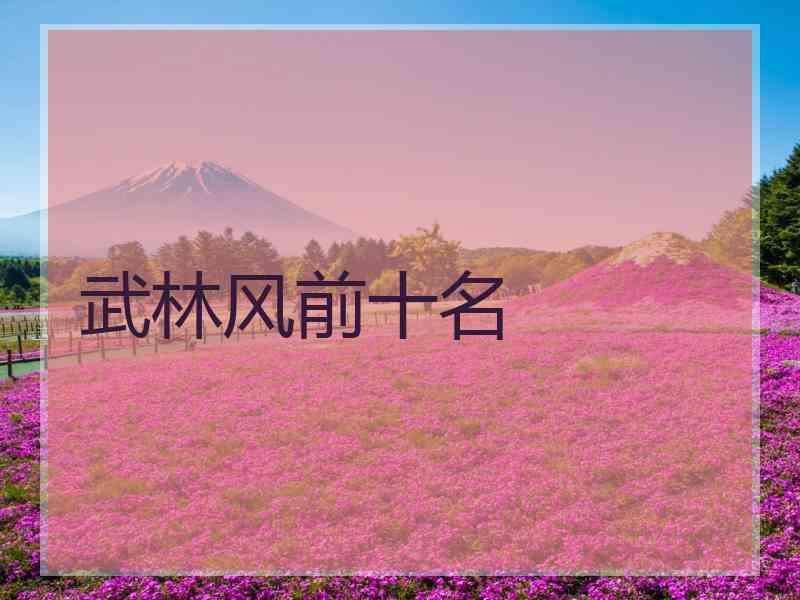 武林风前十名