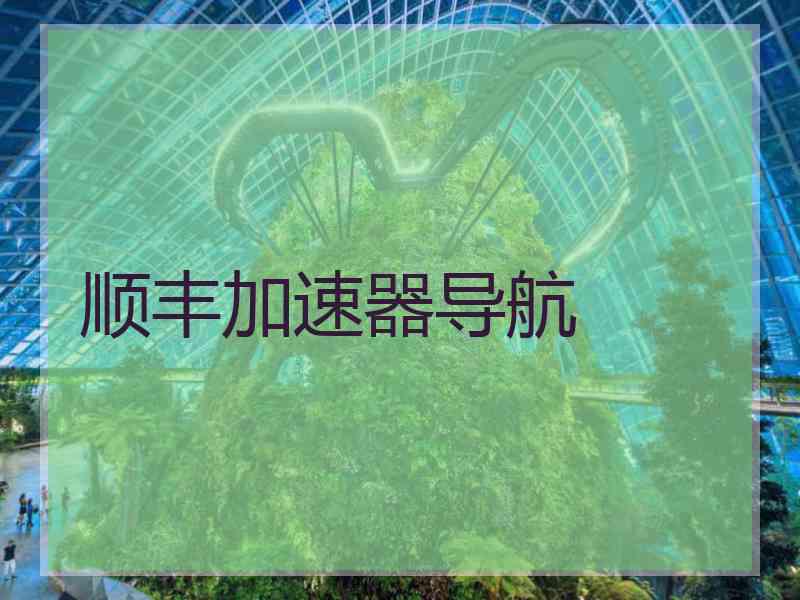 顺丰加速器导航