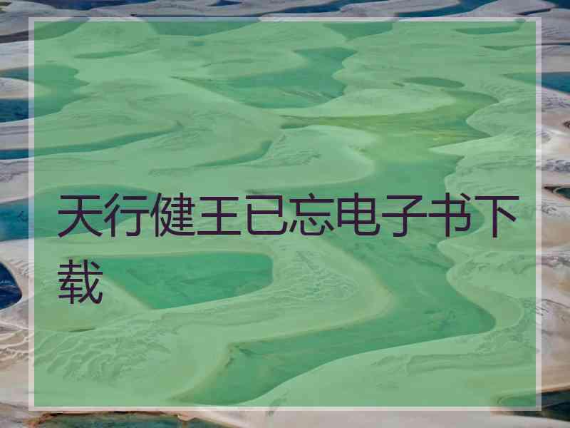 天行健王已忘电子书下载