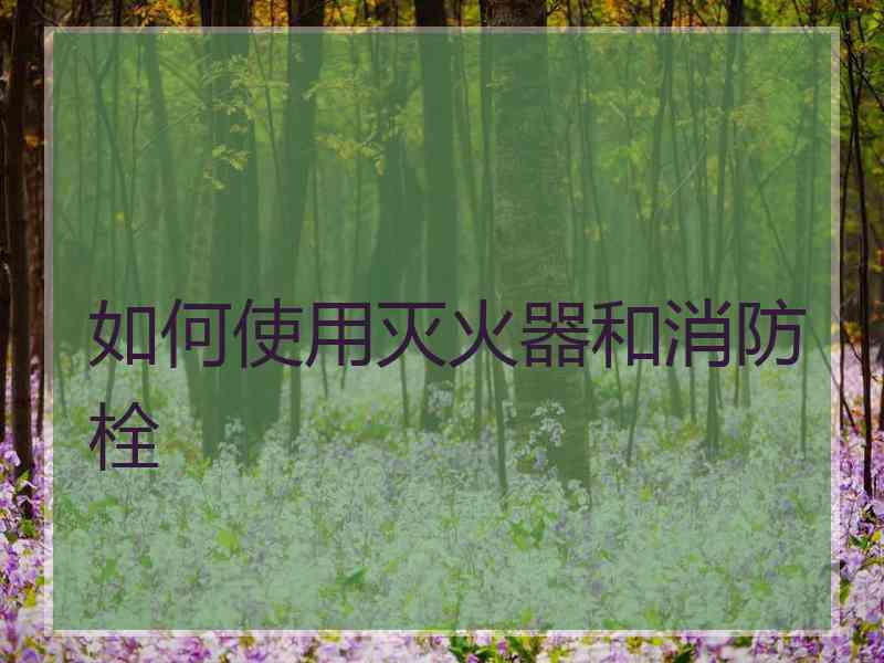 如何使用灭火器和消防栓