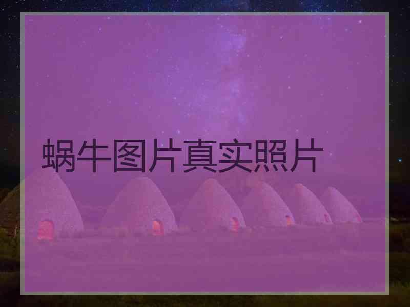 蜗牛图片真实照片