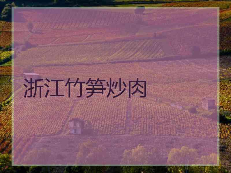 浙江竹笋炒肉