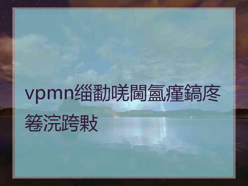 vpmn缁勫唴閫氳瘽鎬庝箞浣跨敤