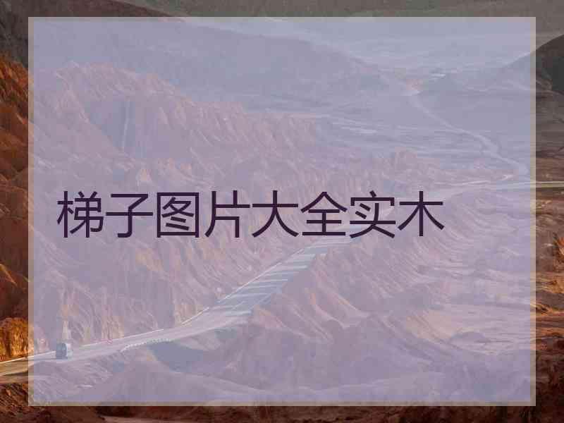 梯子图片大全实木