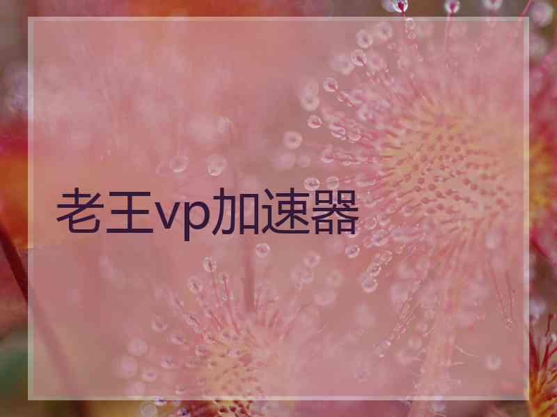 老王vp加速器