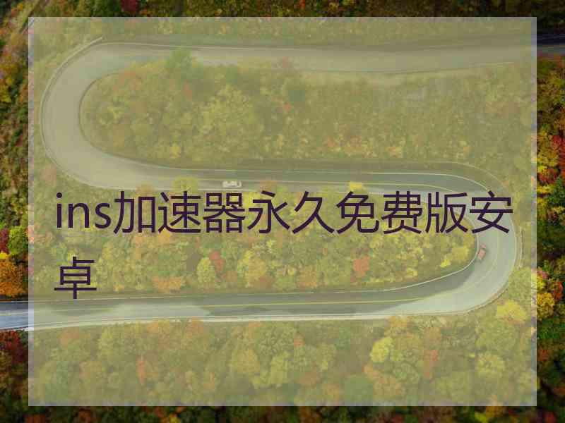ins加速器永久免费版安卓