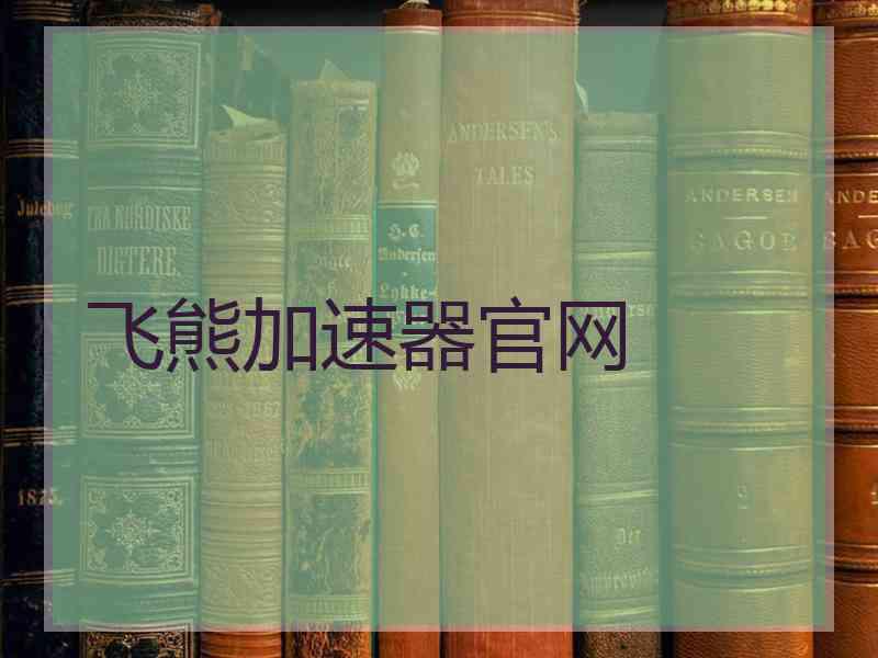飞熊加速器官网