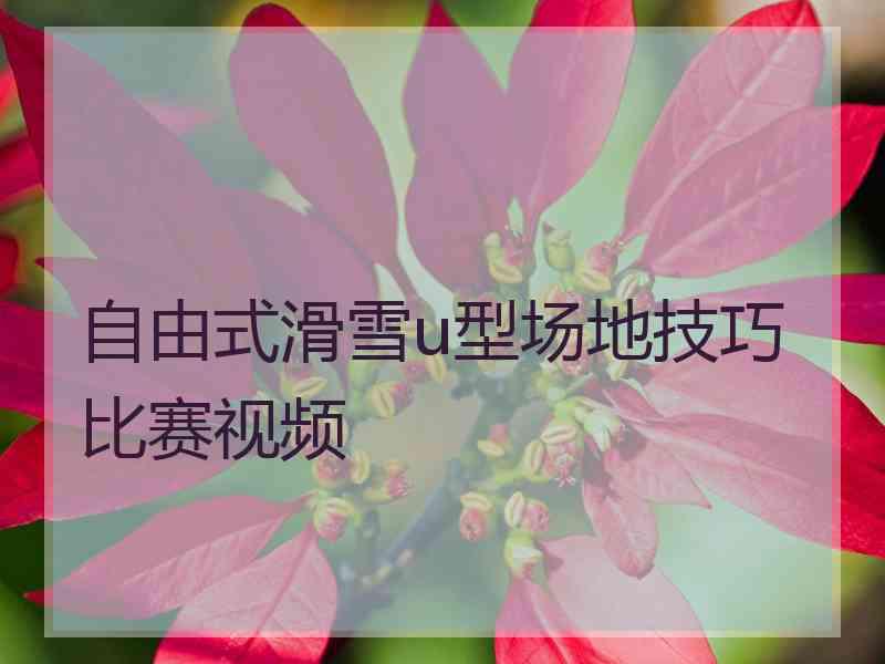 自由式滑雪u型场地技巧比赛视频
