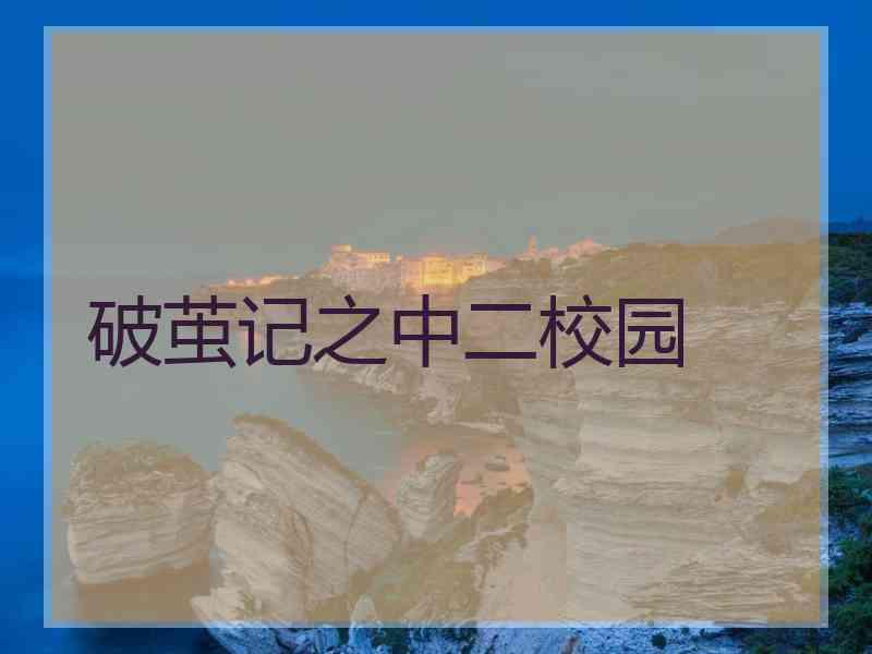 破茧记之中二校园