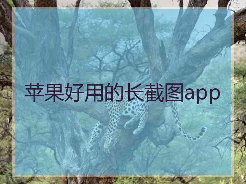 苹果好用的长截图app