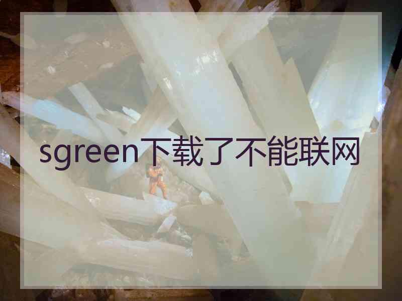 sgreen下载了不能联网