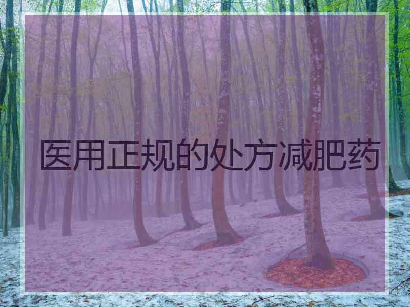 医用正规的处方减肥药