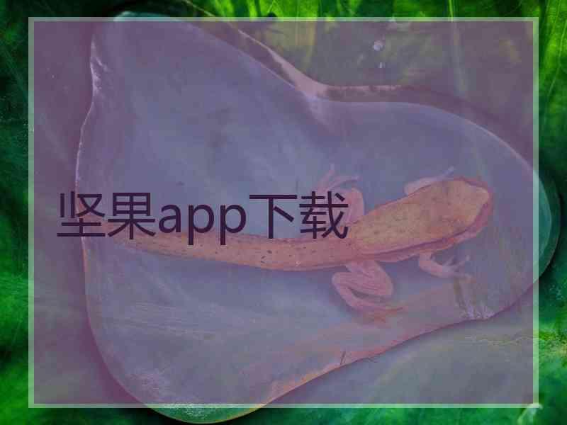坚果app下载