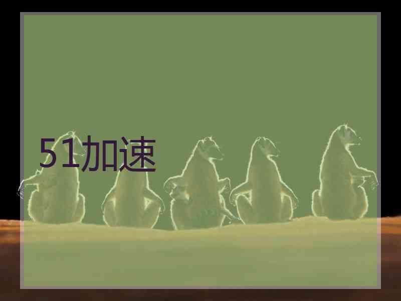 51加速