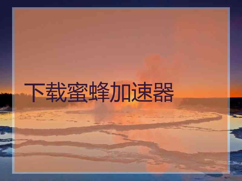 下载蜜蜂加速器