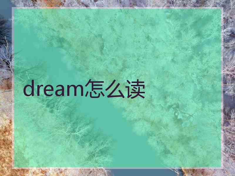 dream怎么读