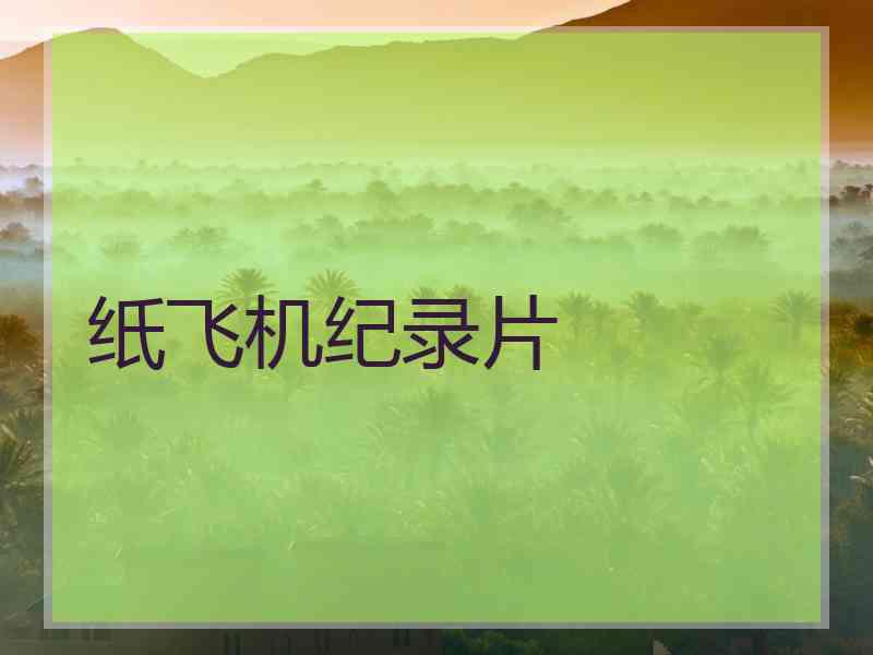 纸飞机纪录片