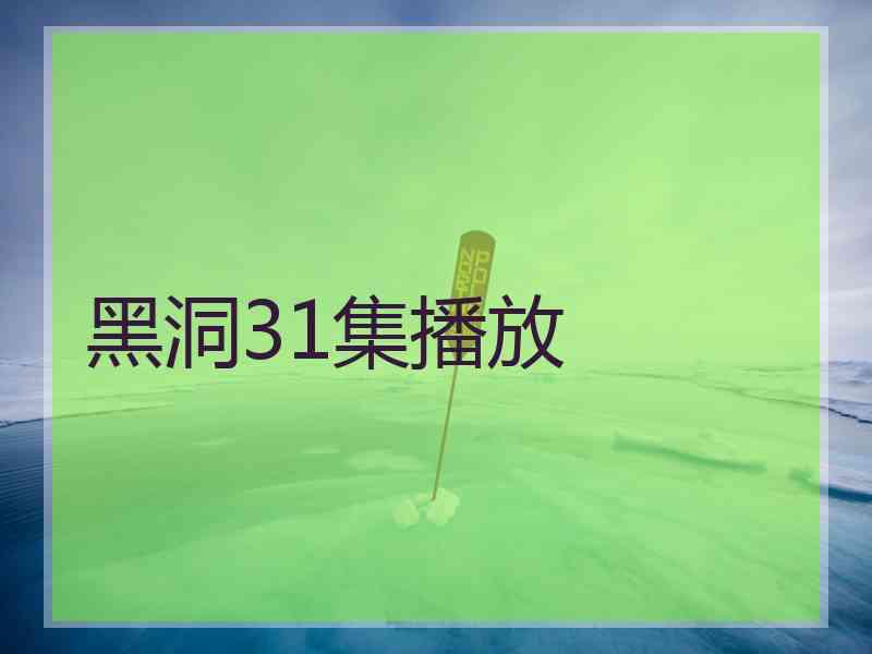 黑洞31集播放