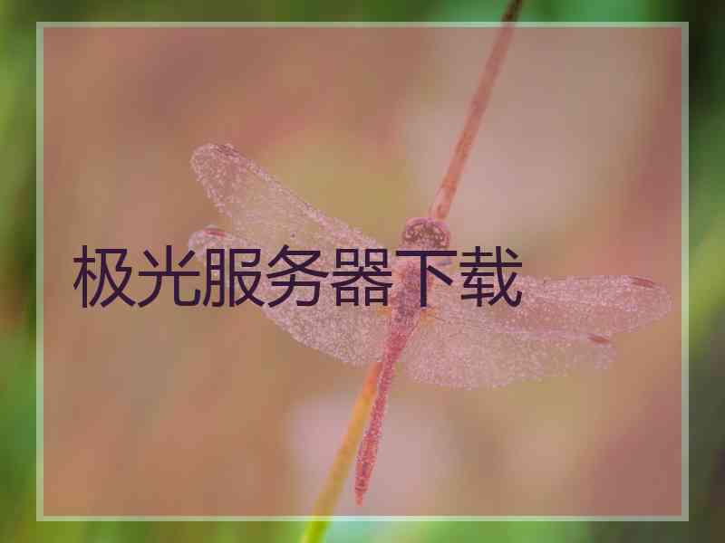 极光服务器下载