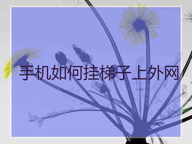 手机如何挂梯子上外网