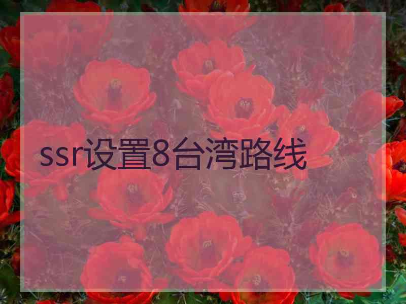 ssr设置8台湾路线