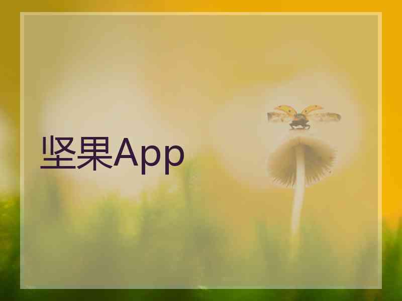坚果App