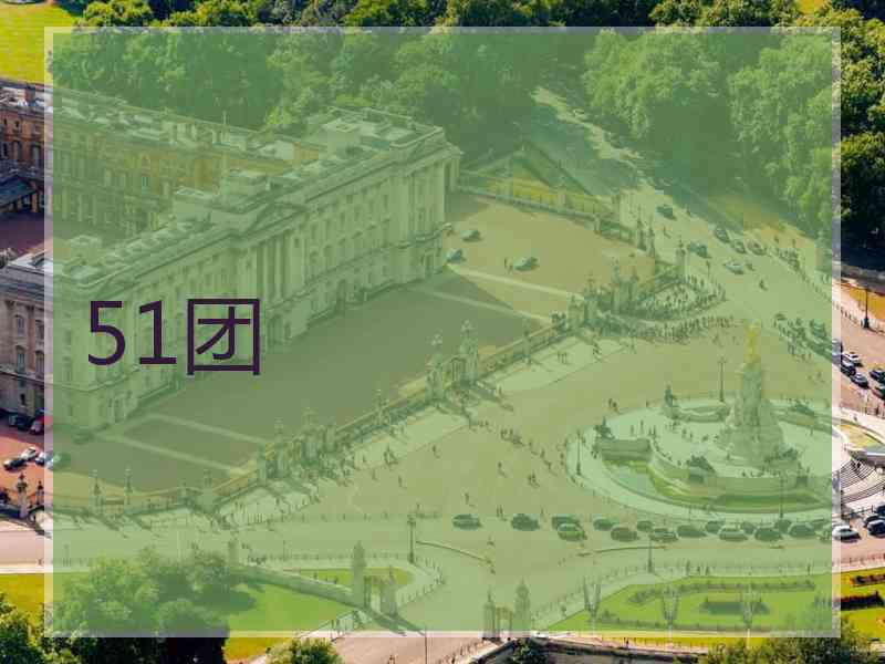 51团