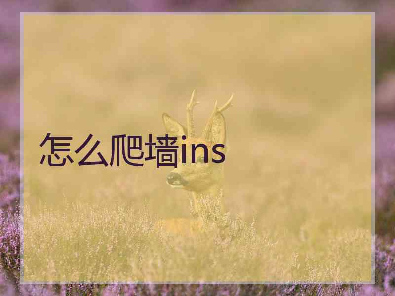 怎么爬墙ins