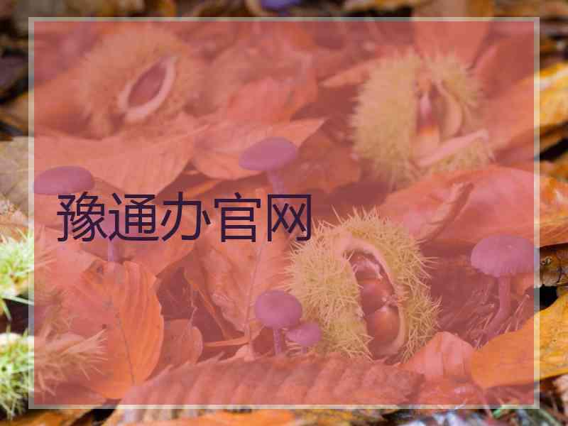豫通办官网