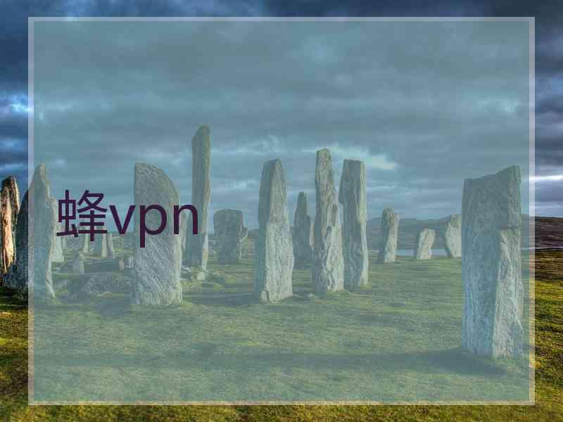 蜂vpn