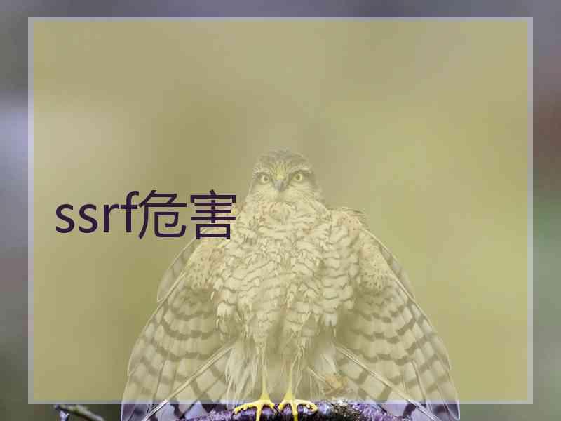 ssrf危害