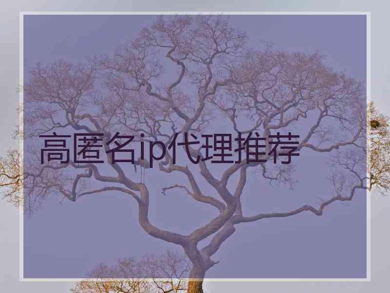 高匿名ip代理推荐