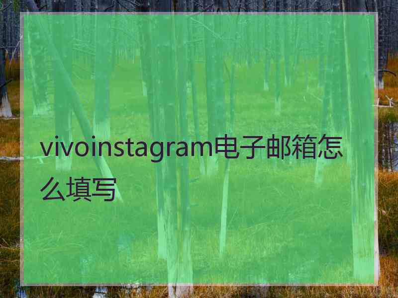 vivoinstagram电子邮箱怎么填写