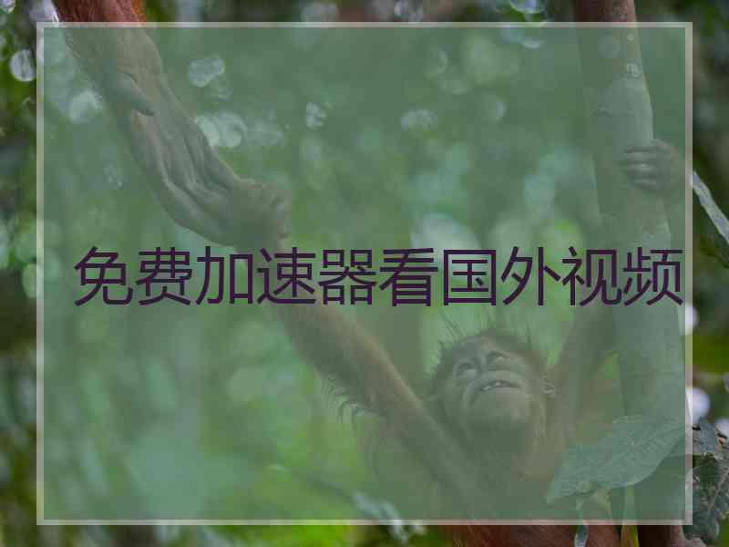 免费加速器看国外视频