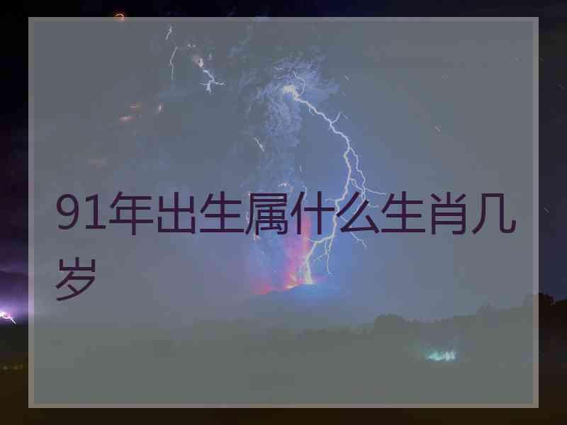 91年出生属什么生肖几岁