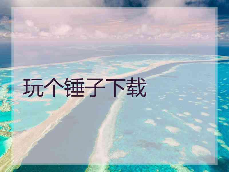 玩个锤子下载