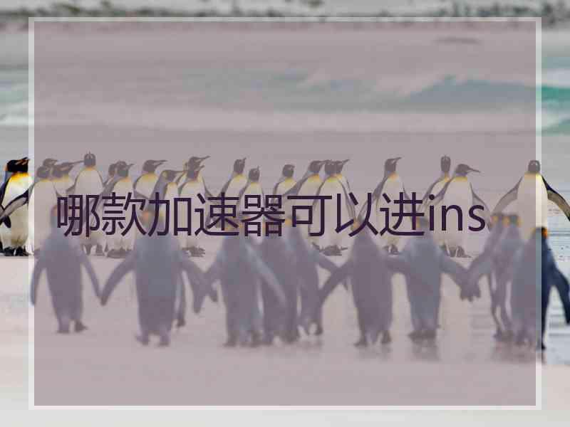 哪款加速器可以进ins