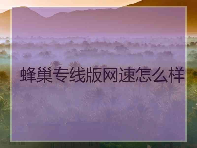 蜂巢专线版网速怎么样