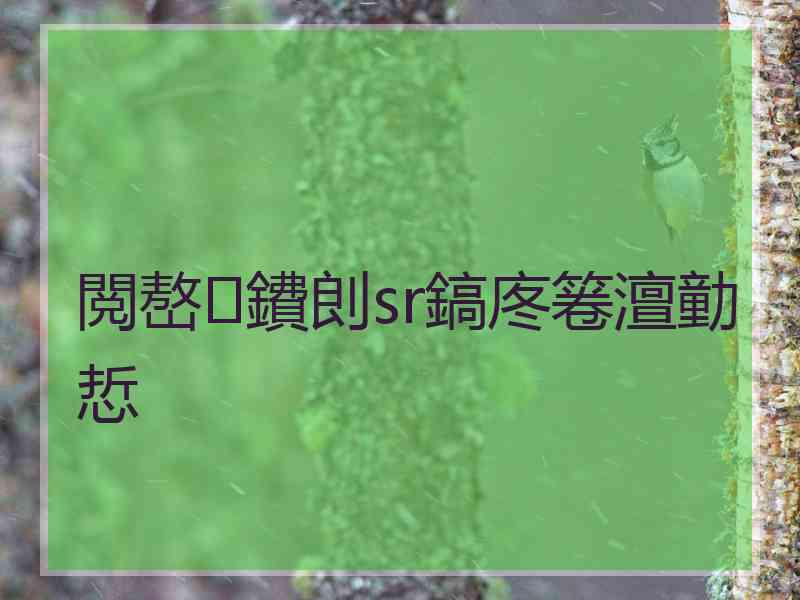 閲嶅鐨剆sr鎬庝箞澶勭悊