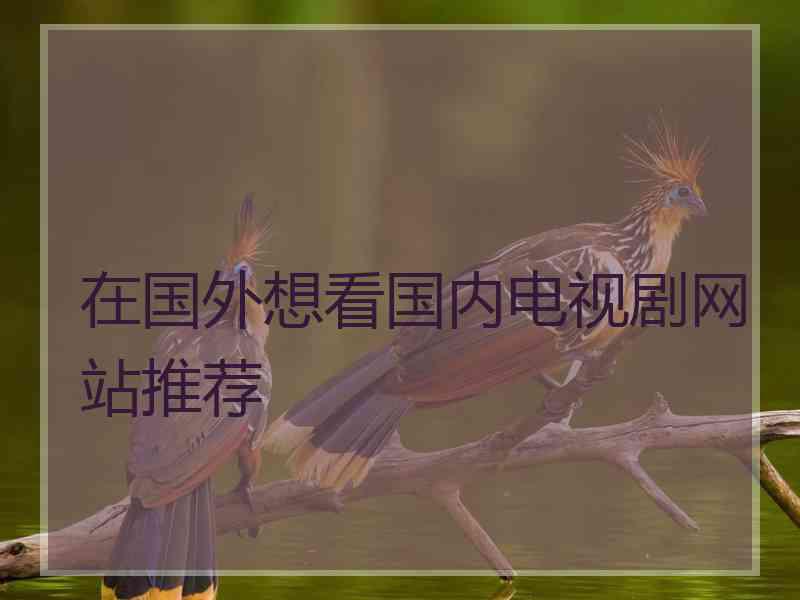 在国外想看国内电视剧网站推荐
