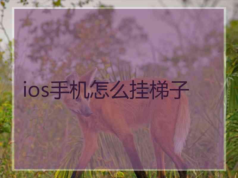 ios手机怎么挂梯子