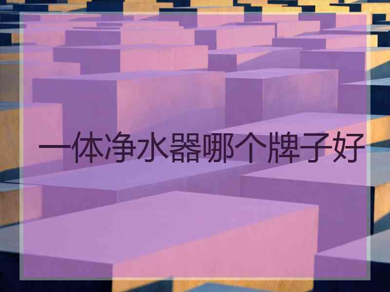 一体净水器哪个牌子好