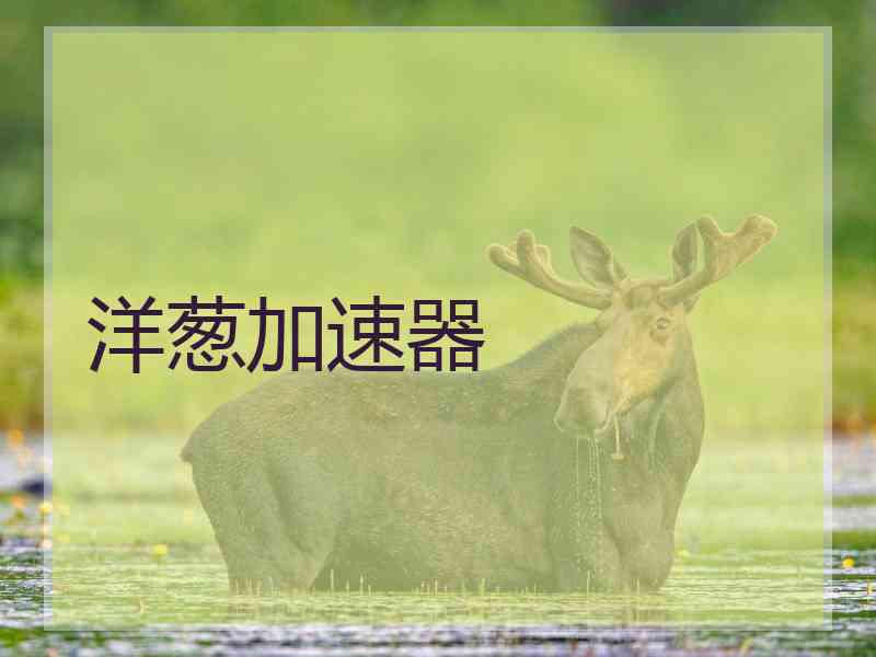 洋葱加速器