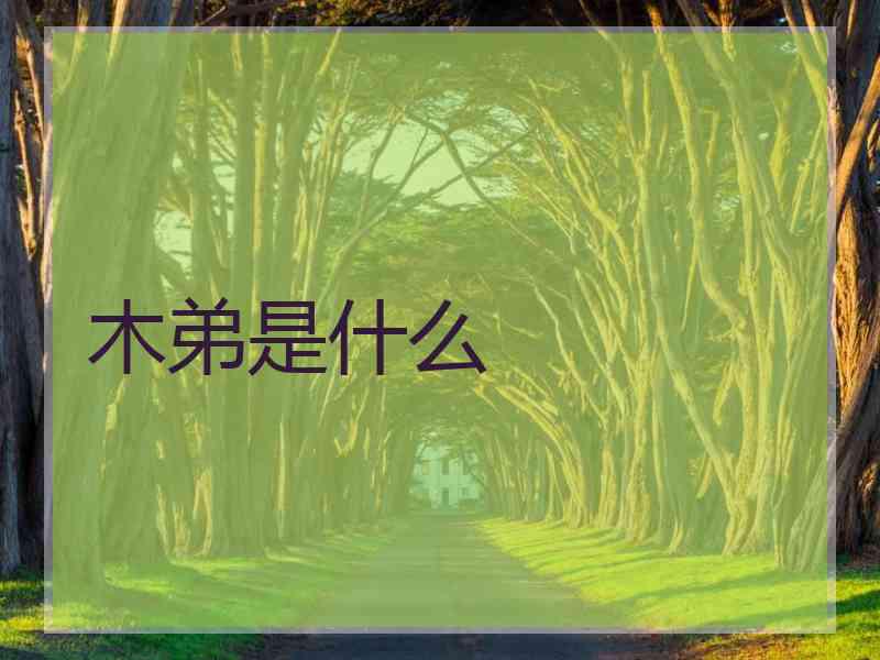 木弟是什么