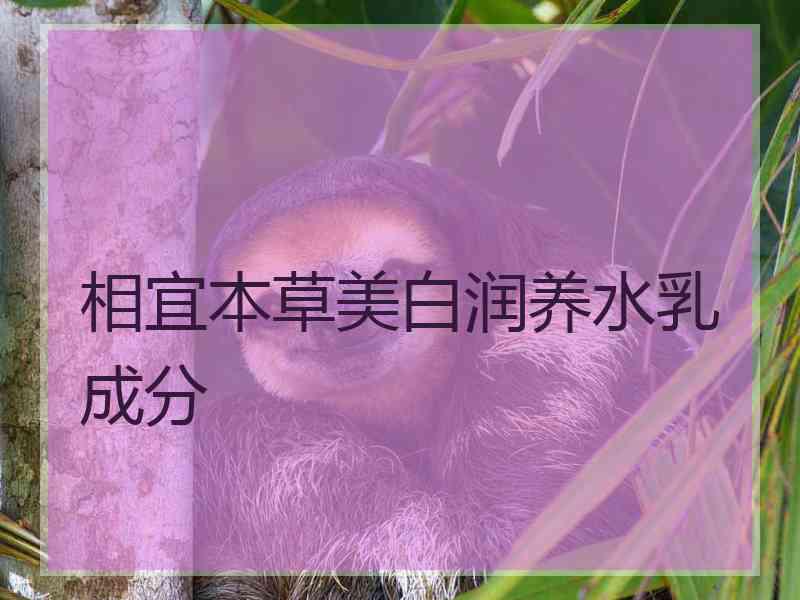 相宜本草美白润养水乳成分