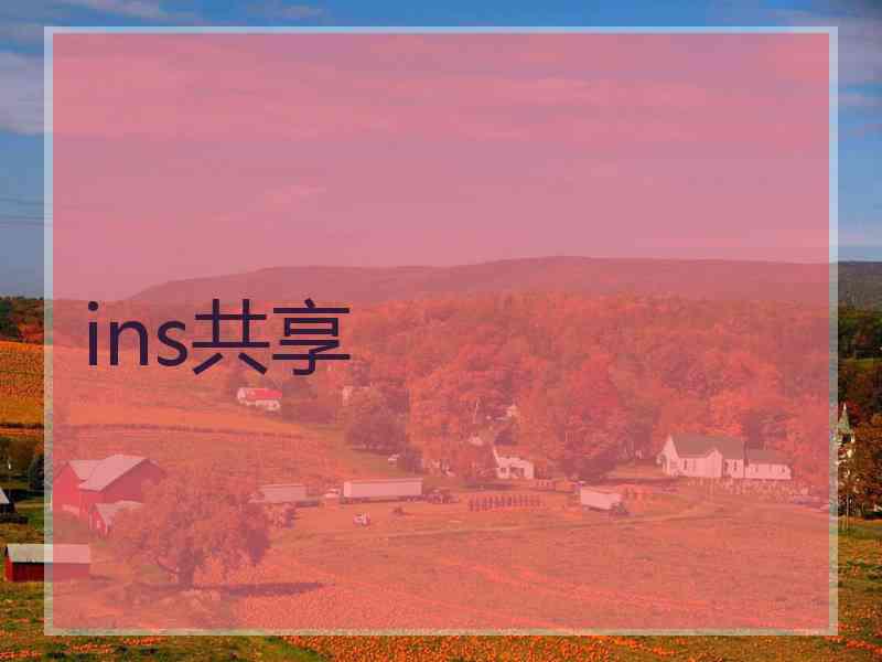 ins共享