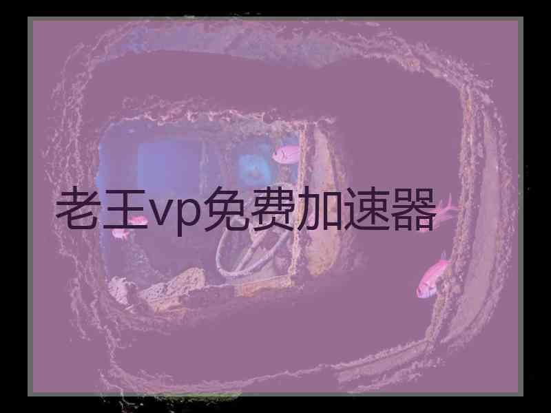 老王vp免费加速器
