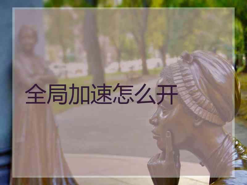 全局加速怎么开