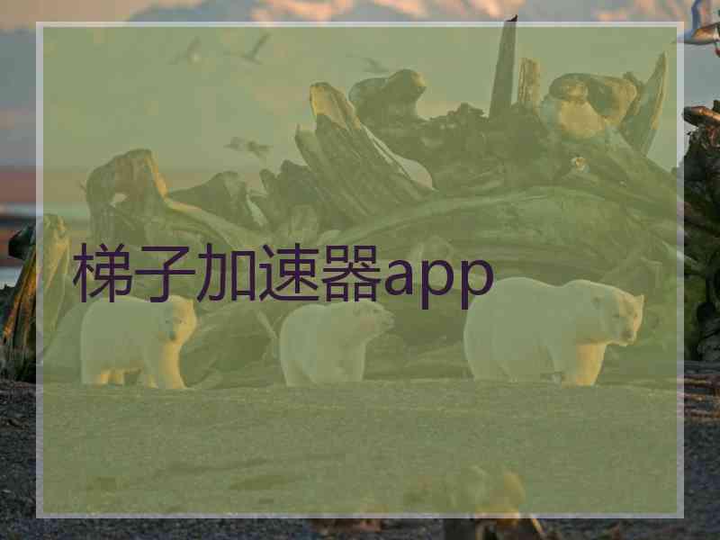 梯子加速器app